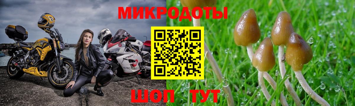 Псилоцибиновые грибы MAGIC MUSHROOMS Наро-Фоминск